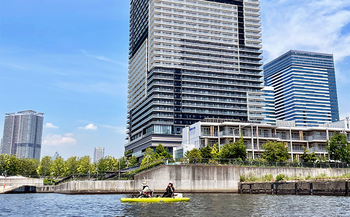 初の足漕ぎカヤックフィッシングでクロダイ登場！【東京・豊洲ぐるり公園】落とし込み釣りでヒット