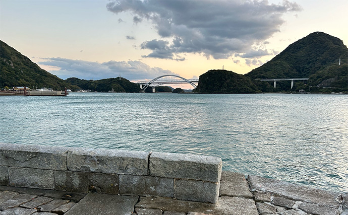 ソルトアングラーが考える夏休みの自由研究：雑食性のクロダイはどんな食材で釣れるのか