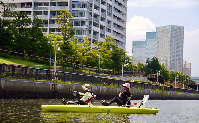 初の足漕ぎカヤックフィッシングでクロダイ登場！【東京・豊洲ぐるり公園】落とし込み釣りでヒット