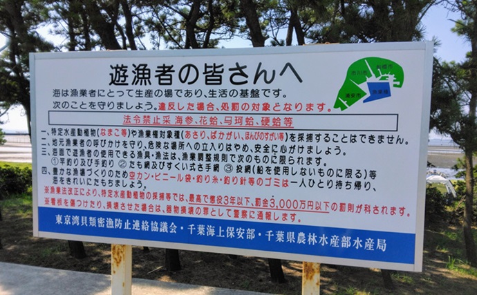 潮干狩り上級者パパが子供にすすめた自由研究：東京湾奥『三番瀬』に住む貝を調べてみた