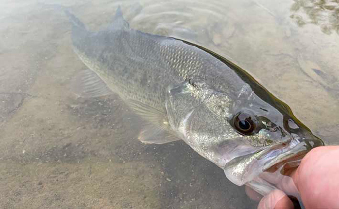 プランター下のミミズ採集からルアー釣りへ　田舎の川で育んだ釣りの知識と工夫とは？