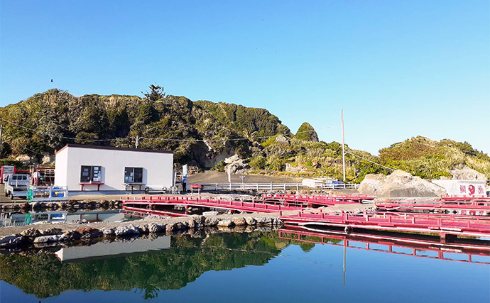 太平洋の絶景を望める海の釣り堀【千葉・鴨川】「太海フラワー磯釣りセンター」でのんびり釣りを満喫しよう