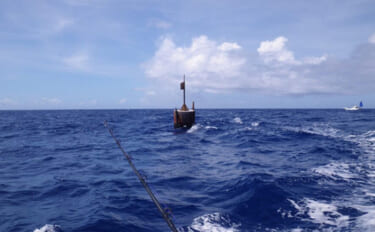 「小魚を食べるために大型魚が集まる」は間違い？　集魚効果抜群の浮魚礁『…