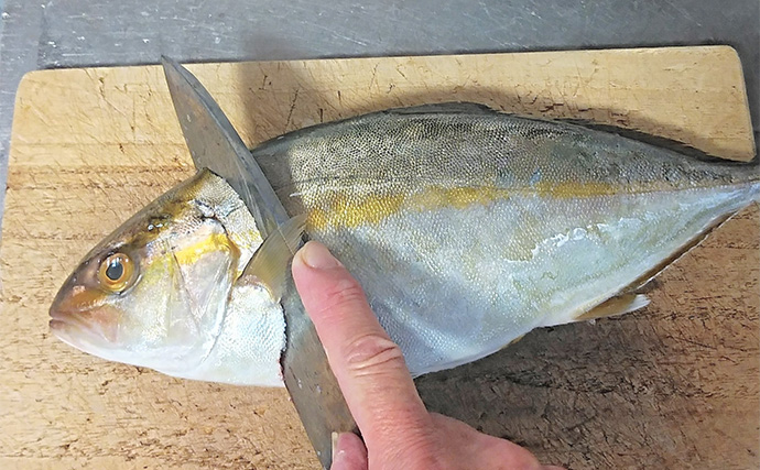 釣魚で作る「秋の味覚」レシピ：ネリゴのサッと煮　カマと一緒に煮るのがコツ