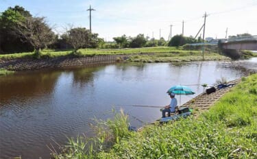 今週のヘラブナ推薦釣り場2024【茨城・破竹川】