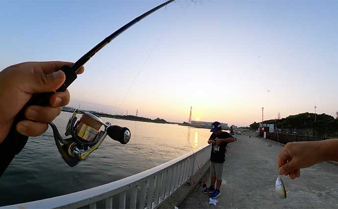 三河湾の人気釣り場でサビキ釣り調査【愛知】メインターゲットは「サッパ」