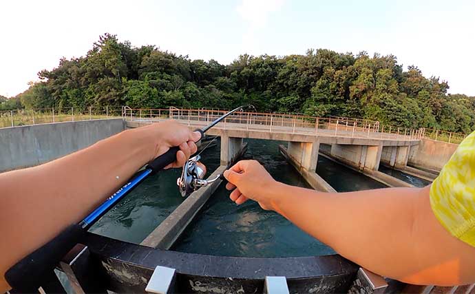 三河湾の人気釣り場でサビキ釣り調査【愛知】メインターゲットは「サッパ」