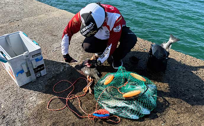 波止フカセ釣りで54cm頭に50cm超え「年無し」チヌ３連発！【長崎・釜田漁港】