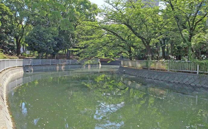 東京都心の公園でのんびりハゼ釣り【東京・仙台堀川公園】12cmを筆頭にハゼが入れ食い