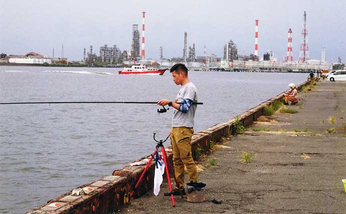 堤防サビキ釣りでアジ8匹キャッチ【三重・四日市港周辺】サイズは13cm前後と小型中心