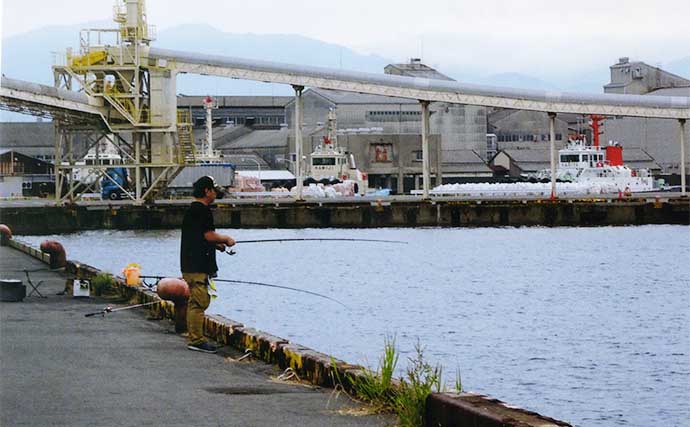 堤防サビキ釣りでアジ8匹キャッチ【三重・四日市港周辺】サイズは13cm前後と小型中心