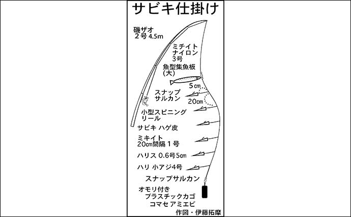 堤防サビキ釣りでアジ8匹キャッチ【三重・四日市港周辺】サイズは13cm前後と小型中心