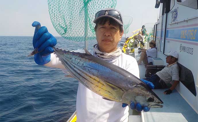 相模湾コマセカツオ釣りで良型ホンガツオにヒラソーダ好捕【神奈川・ちがさき丸】