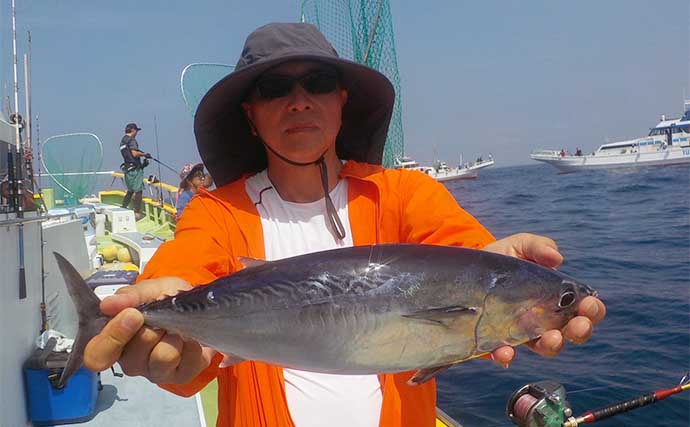 相模湾コマセカツオ釣りで良型ホンガツオにヒラソーダ好捕【神奈川・ちがさき丸】