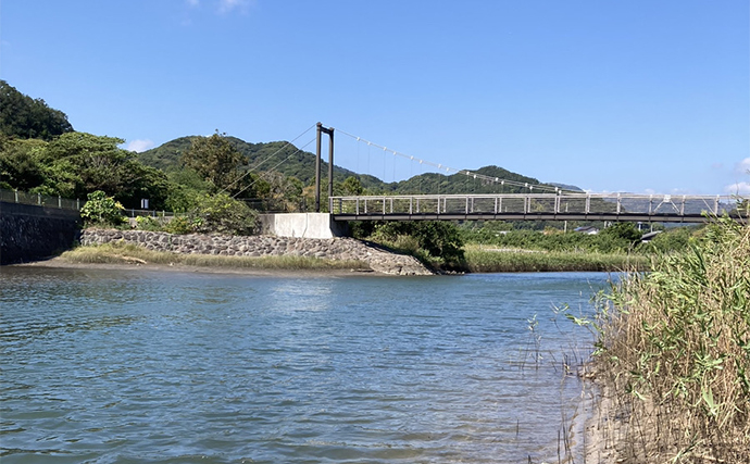 南伊豆のメッキゲームが開幕【静岡】青野川・大賀茂川・稲取川でメッキをキャッチ