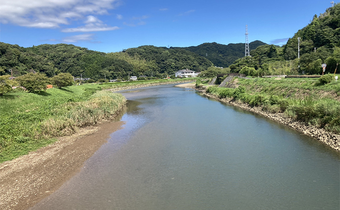 南伊豆のメッキゲームが開幕【静岡】青野川・大賀茂川・稲取川でメッキをキャッチ