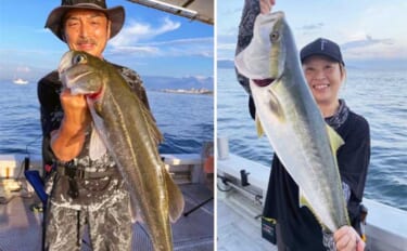 関西エリアの【船釣り特選釣果】淡路島沖の落とし込みサビキ釣りでブリにスズキ浮上