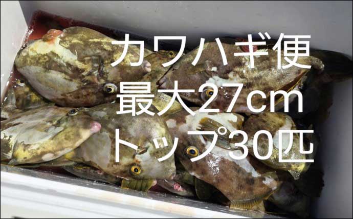 関西エリアの【船釣り特選釣果】淡路島沖の落とし込みサビキ釣りでブリにスズキ浮上