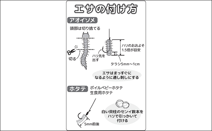 「大型のマハゼが狙える好機！」秋のハゼ釣り入門解説【タックル・エサ・釣り方】