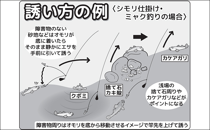 「大型のマハゼが狙える好機！」秋のハゼ釣り入門解説【タックル・エサ・釣り方】