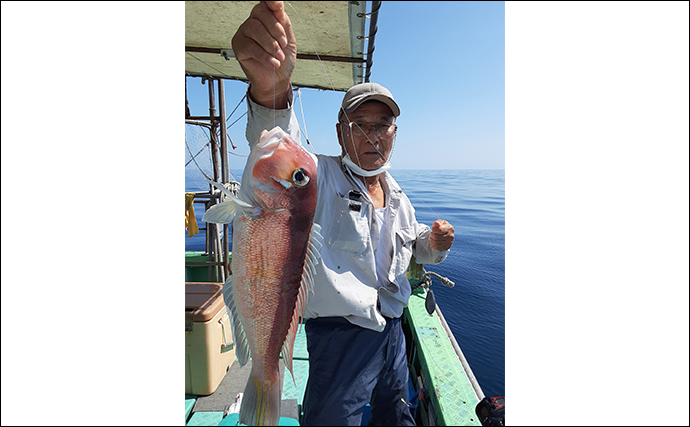 【船釣り釣果速報】落とし込みでマダイに青物御三家が好ヒット（福岡）