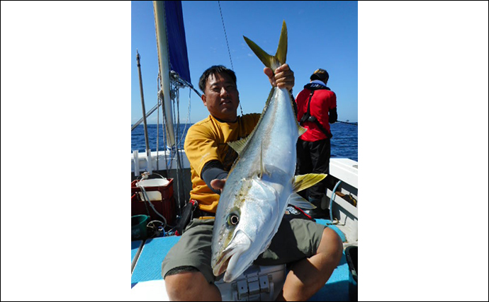 【船釣り釣果速報】落とし込みでマダイに青物御三家が好ヒット（福岡）