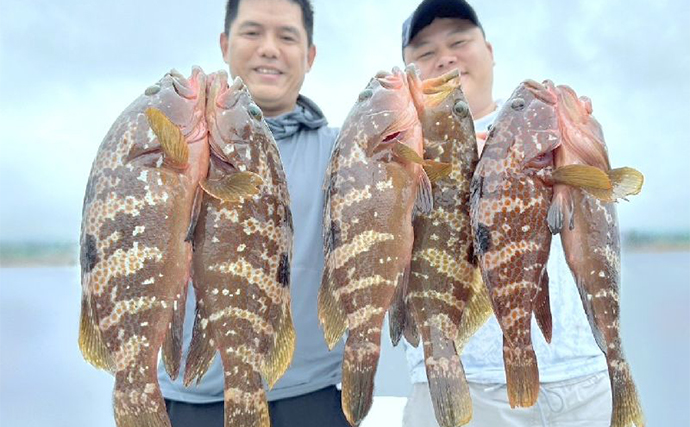 【船釣り釣果速報】カワハギ・フグ便で両本命ともサイズも数も絶好調！（愛知）