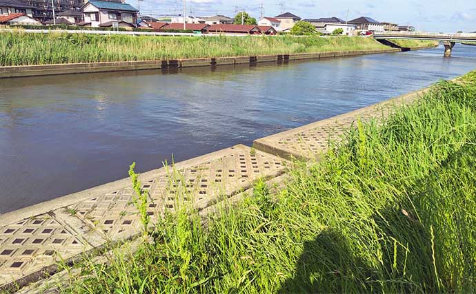 村田川でのルアー釣りで60cm級シーバス連打【千葉】フローティングミノーに好反応