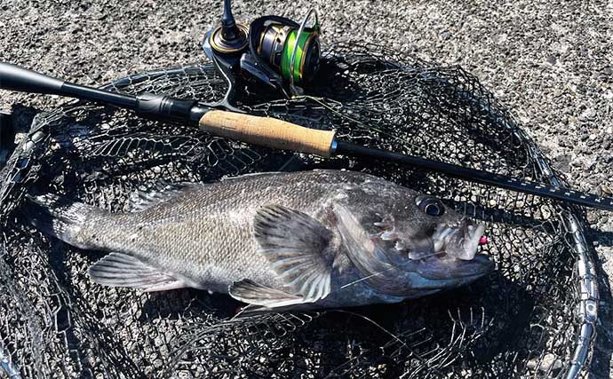 「夏枯れ」真っ只中の室蘭沖堤防でのロックゲーム釣行で35cmクロソイと対面【北海道】