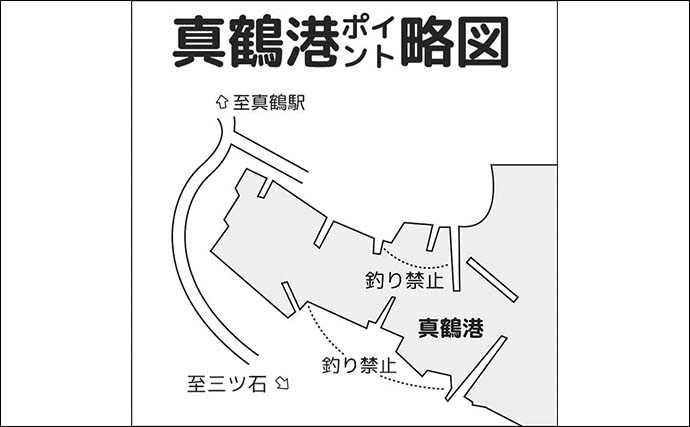 真鶴港のウキダンゴ釣りで35cm頭にクロダイ2尾【神奈川】ゲストにアイゴやコノシロも登場