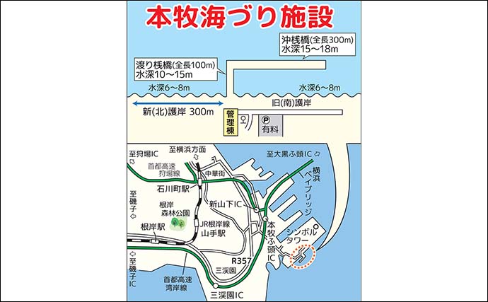 「本牧海づり施設」でのサビキ釣りでサッパ22尾【横浜】周囲ではカマスやクロダイも