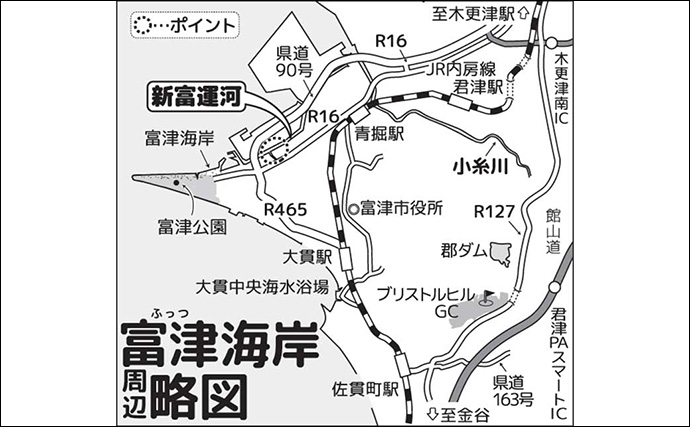 新富運河のハゼ釣りで15cm筆頭にマハぜ10匹【千葉】ゲストにクロダイやシマイサキ