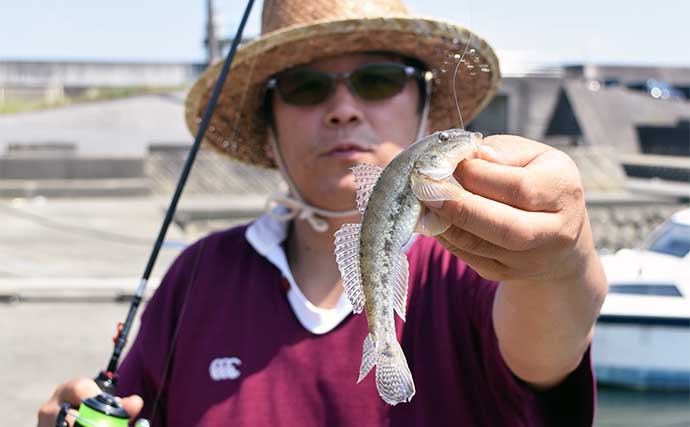 亀崎漁港のチョイ投げ釣りで本命ハゼが入れ食い！【三重】針のサイズダウンが奏功