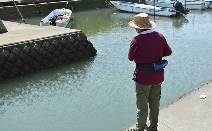 亀崎漁港のチョイ投げ釣りで本命ハゼが入れ食い！【三重】針のサイズダウンが奏功