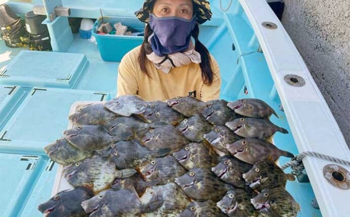 【船釣り釣果速報】カワハギ釣りでコンスタントにヒット！数釣りを達成（愛知）