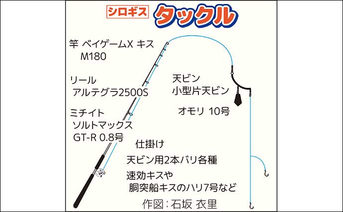 東京湾の船シロギス釣りで本命連打【神奈川・つり幸】釣れない時の引き出し不足を痛感？