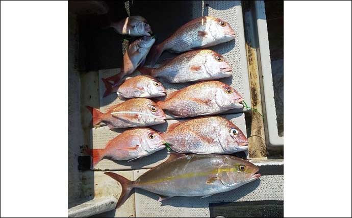 【船釣り釣果速報】鷹島沖の落とし込み釣りでヒラマサにヤズを好捕（長崎・佐賀）