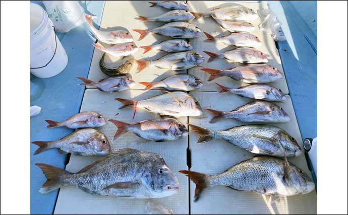 関西エリアの【船釣り特選釣果】和歌山出船のジギング便でタチウオが爆釣