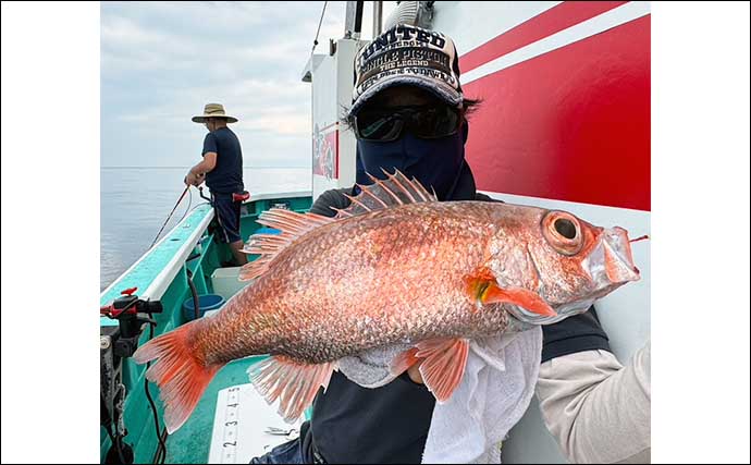 「富山湾で秋のアカムツ釣りシーズン開幕！」33cm頭に本命7匹キャッチ【富山・強神丸】