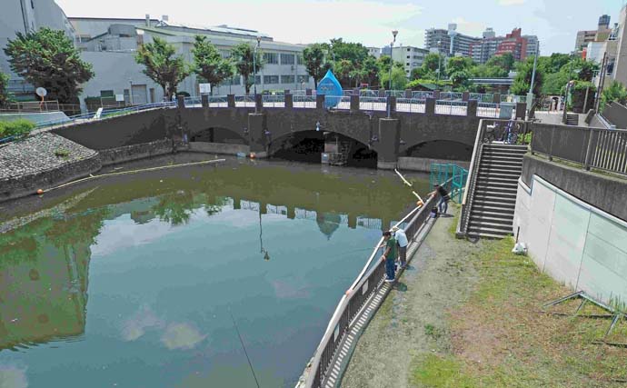 横十間川でのハゼ釣りで13cm頭に90尾【東京】ハイシーズンらしい入れ食いを堪能