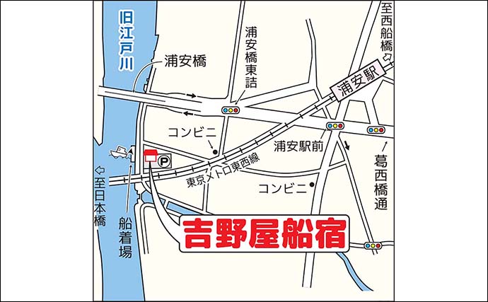 東京湾の船カワハギ釣りで27cm頭に釣る人9尾【千葉・吉野屋】シーズン遅れ気味か