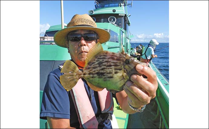 東京湾の船カワハギ釣りで27cm頭に釣る人9尾【千葉・吉野屋】シーズン遅れ気味か