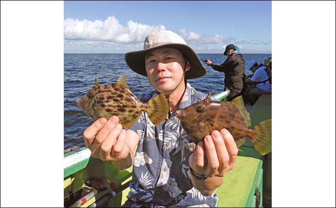 東京湾の船カワハギ釣りで27cm頭に釣る人9尾【千葉・吉野屋】シーズン遅れ気味か