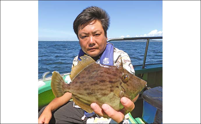 東京湾の船カワハギ釣りで27cm頭に釣る人9尾【千葉・吉野屋】シーズン遅れ気味か