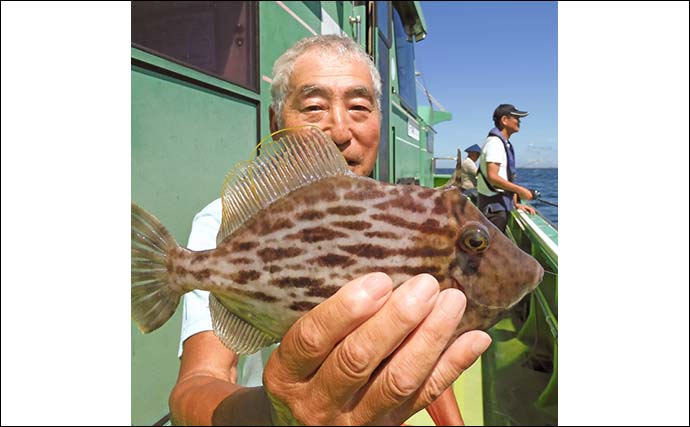 東京湾の船カワハギ釣りで27cm頭に釣る人9尾【千葉・吉野屋】シーズン遅れ気味か