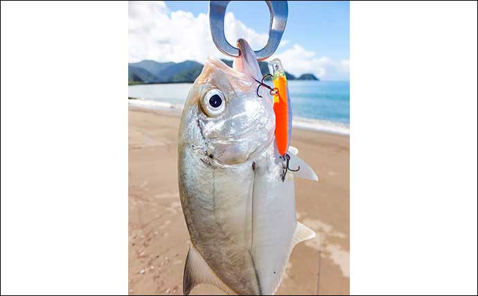 「メッキ」釣りシーズンが開幕！仁科大浜海岸でのルアー釣行で20cm級頭に連打【静岡】