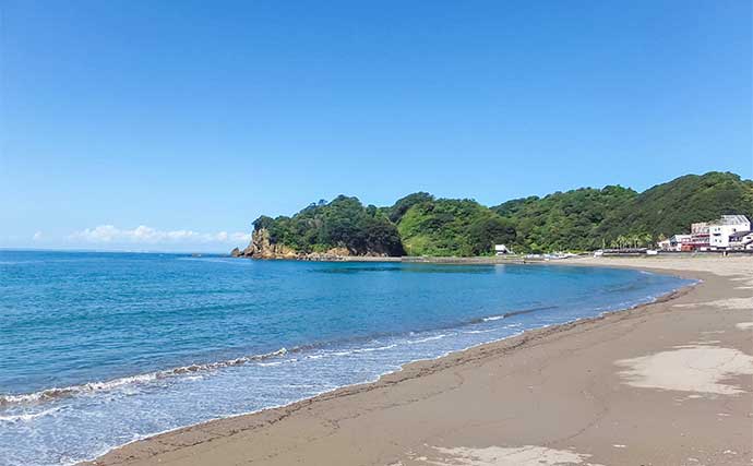 「メッキ」釣りシーズンが開幕！仁科大浜海岸でのルアー釣行で20cm級頭に連打【静岡】