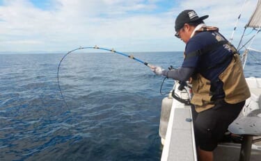 落とし込み釣り（食わせサビキ・タテ釣り）シーズン到来　キホンをおさらいしておこう