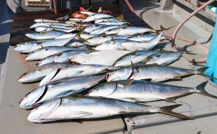 【船釣り釣果速報】鷹島沖の落とし込み釣りでヒラマサにヤズが好ヒット！（長崎・佐賀）