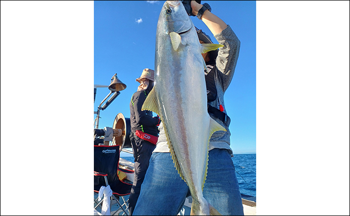 【落とし込み釣り最新釣果】ヒラマサ・ブリ・カンパチ青物御三家が好反応（福岡）